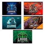 Альбом д\рис. 16 л. SVETOCH Выбери героя мелов.карт. 000693