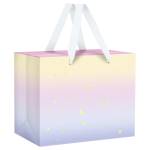 Пакет-коробка подарочный MESHU Universe MS_62693 27х20х13см