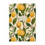 Блокнот-бизнес А4 160 л. Альт FLORA Lemons 3-160-490/19