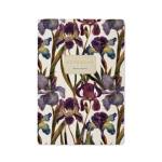 Тетрадь 40 л. Bruno Visconti Flora Ирисы линия 7-40-505/55