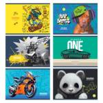 Альбом д\рис. 16 л. А5 БиДжи Mix Мальчики АР5ск16 10951