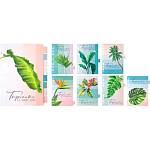 Разделитель А5 8 л. без индексации мелован картон 210г deVENTE Tropicana 3051415