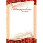 9-19-129А Благодарственное письмо