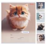 Тетрадь 18 л. (линия) П-П Милый взгляд котенка 18-5592