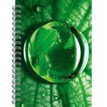 Блокнот-бизнес А6 80 л. (спираль) Капля росы БК680286