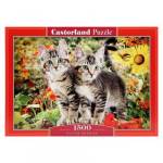 Пазлы 1500 эл. Castor Land С-151899 Усатые приятели