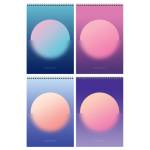 Блокнот А4 80 л. (спираль) БиДжи  Mono circle тв.подложка Б4гр80 55919