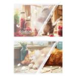 Альбом д\рис. 40 л. БиДжи Усы, лапы и хвост пласт.обл. АР4ск40_пл 06078