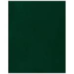 Тетрадь А4 96 л. (клетка) БиДжи бумвинил зеленый Т4бв96к_12339