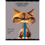 Тетрадь 48 л. (клетка) П-П Про Хвост Геометрия 48-2463