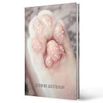 Дневник УНИ К-Э Блестящие и милые тверд. 7БЦ Soft Touch тиснен. фольгой ДУФ254003