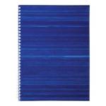 Тетрадь А4 96 л. (спираль) БиДжи бумвинил синий Т4гр_бв96к_12345