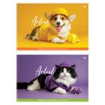 Альбом д\рис. 24 л. БиДжи Домашние питомцы офс.обл. АР4ск24 62633