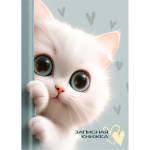 Записная книжка А7 48 л. П-П Обаятельные котята 48-8636