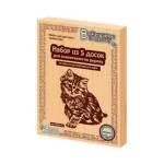 Выжигание Доски для выжигания 5 шт. Без рисунка 01731