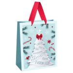 Пакет подарочный MESHU Christmas wish 18х23х10см MS_66103