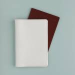 Обложка д/паспорта Белая 3-619/10