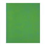 Тетрадь 48 л. (клетка) Alingar Green chameleon блестки, дизайнерск. картон AL12399