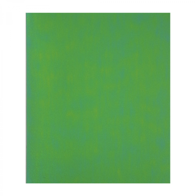 Тетрадь 48 л. (клетка) Alingar Green chameleon блестки, дизайнерск. картон AL12399