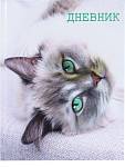 Дневник ст.кл. П-П Calligrata Кошка твердый 7БЦ 2967475 РАСПРОДАЖА