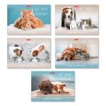 Альбом д\рис. 32 л. SVETOCH Правда милые? мелов.карт. 000220