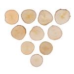 Срез дерева d 5-8см ± 0,5 10шт береза СРЕЗ-23