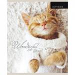 Тетрадь 48 л. (клетка) П-П Котята и пледы 48-1908