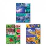 Тетрадь А4 96 л. (клетка) Х Разноцветный мир 96Т4В3