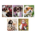 Тетрадь 96 л. (клетка) К-Э Пушистые друзья ТК968386