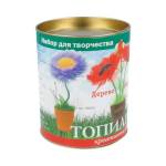 Набор для творчества топиарий Лиловое настроение ТПО-03