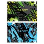 Альбом д\рис. 24 л. (спираль) БиДжи Sport мел.карт. АР4гр24 08626