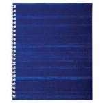 Тетрадь 96 л. (спираль) БиДжи бумвинил синий Т5гр_бв96к_12337