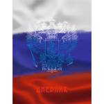 Дневник Уни К-Э Российского школьника 7БЦ глян.лам. ДУ254002