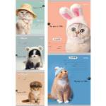 Тетрадь 24 л. (клетка) П-П Головные уборы котов 24-5795