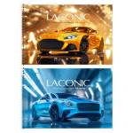 Альбом д\рис. 48 л. (спираль) БиДжи Laconic АР4гр48_вл 08650