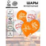 Шарики возд. 5 шт. День Знаний 12" 5035581