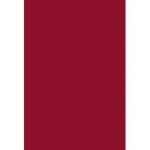 Блокнот А5 50 л. (спираль) Темно-красный С0368-01