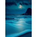 Записная книжка А6 96 л. П-П Ночное побережье 96-7564