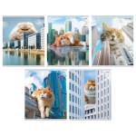 Тетрадь 48 л. (линия) К-Э Большие коты ТЛ489111