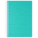 Тетрадь-бизнес 80 л. (спираль) Berlingo Your Way мятная пласт. обл. силикон. гребень SRn_A5893