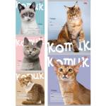 Тетрадь 24 л. (клетка) П-П Котик на цветном фоне 24-5770