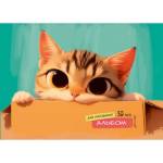 Альбом д\рис. 32 л. П-П Котик в коробке мел.обл. 32-1011