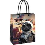 Пакет подарочный MESHU Cool guy 18х23х10см MS_61573