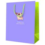 Пакет подарочный MESHU Покорителю моего сердечка MS_52135 18х23х10см 