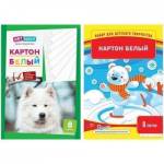 Картон белый А4 8 л. ArtSpace мелов. в папке Нк8бА4_001/152941