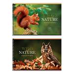 Альбом д\рис. 40 л. (спираль) БиДжи Wild nature мел.карт. АР4гр40 58146