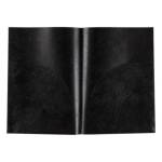 Папка-уголок А4 Premier 180 мкм EC21230001 2 карм. черная