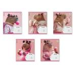 Тетрадь 24 л. (клетка) ErichKrause CapyBarbara 58219  /10