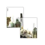 Набор обложек 212х347 12 шт. д/тетр. и дневн. 80 мкм ПП ЕК Big City Cats 63508