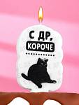 Свеча для торта «С др, короче» 6.5 см, белая 7761390